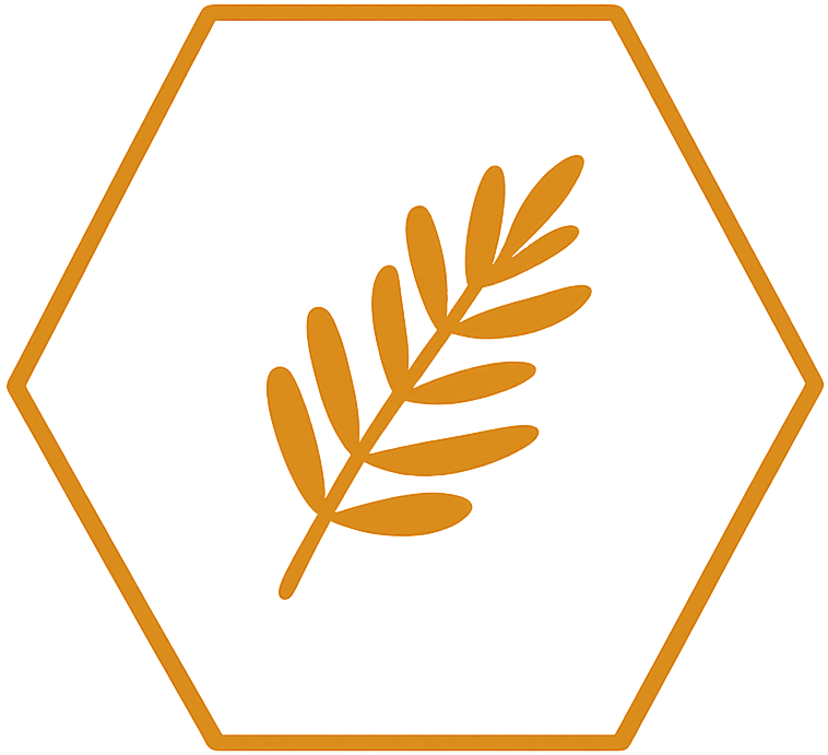 Icon 6